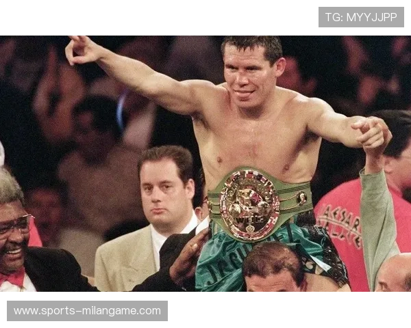 墨西哥拳手身体击打连贯无比