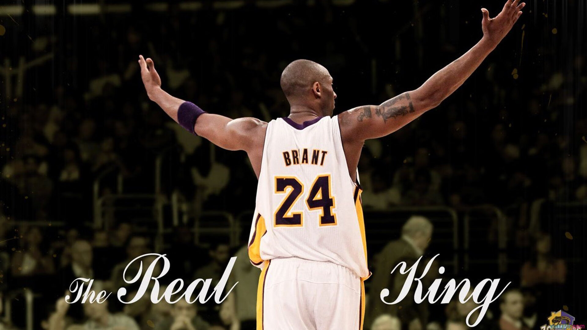 中国篮球联赛观众行为分析及市场策略,篮球赛观众须知