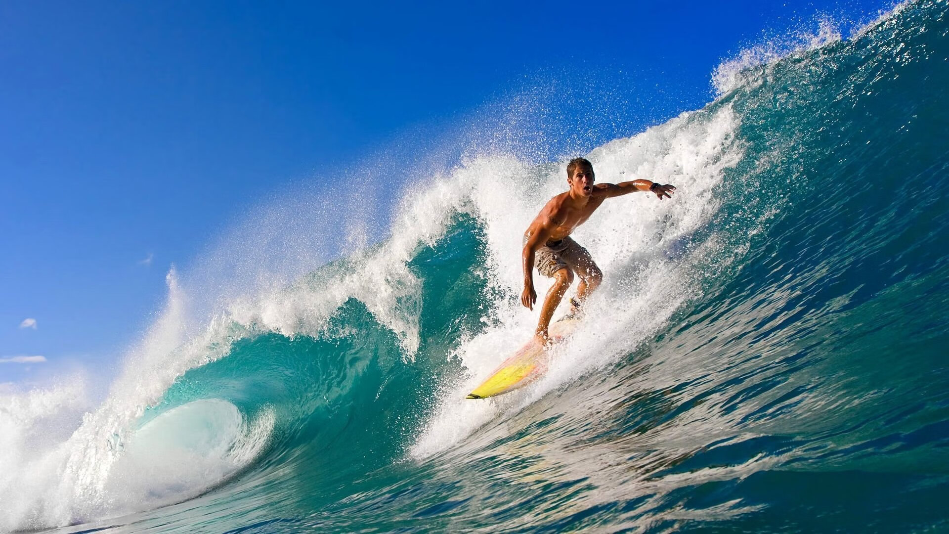 橄榄球世界杯小组赛 “死亡之组”冷门频出